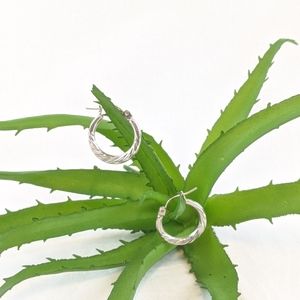 White gold plated hoop earrings